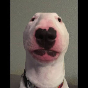 Meet your Posher, Life of carter freiburger